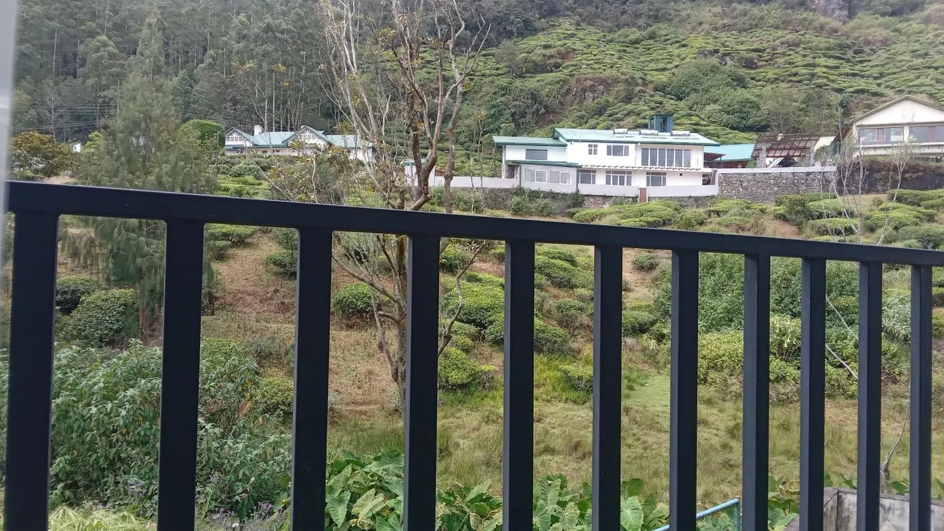 Summer Glow Guest - Nuwara Eliya