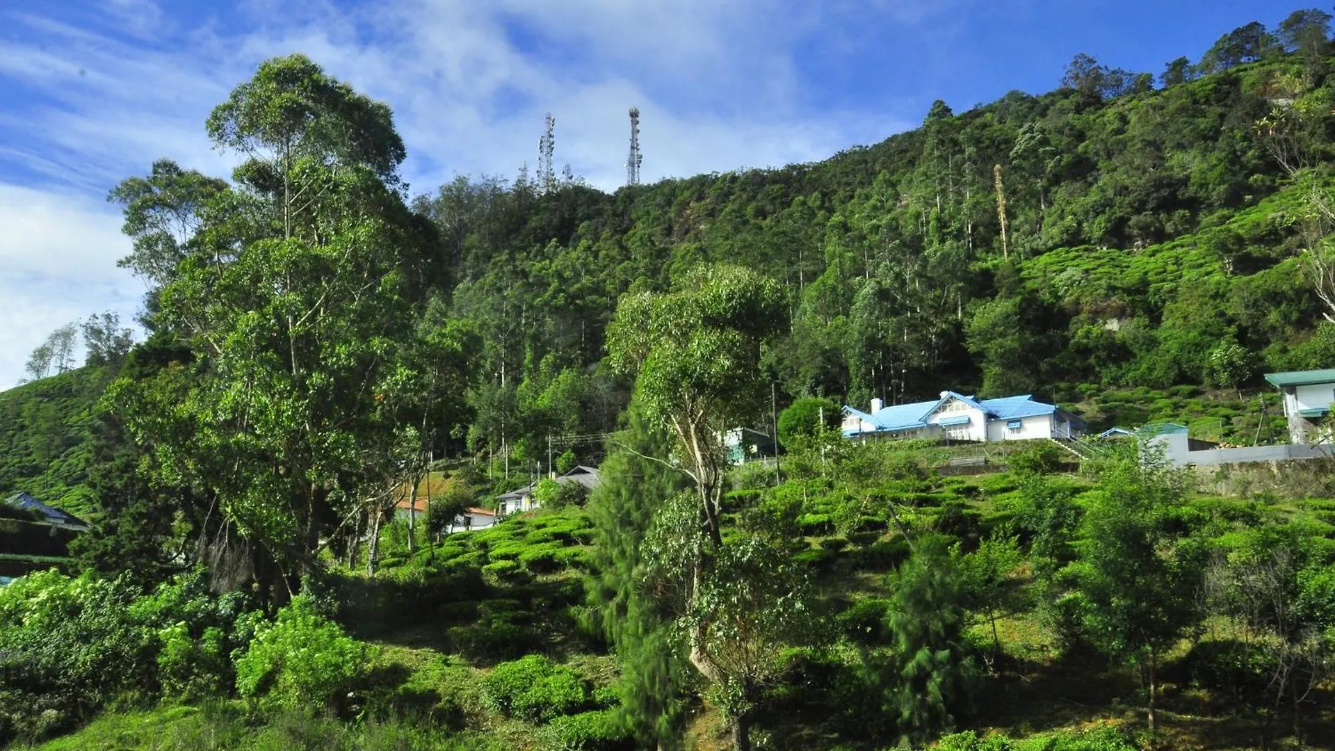 Summer Glow Guest - Nuwara Eliya